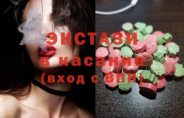 индика Надым