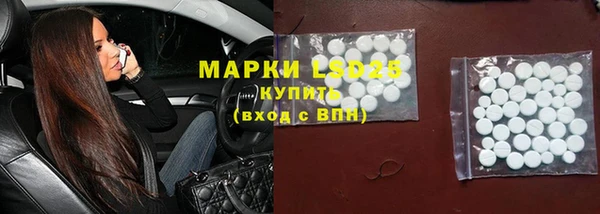 индика Надым
