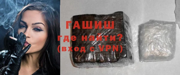 индика Надым