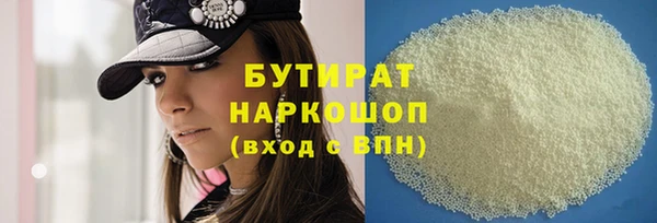 индика Надым
