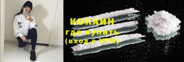 индика Надым