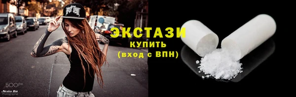 индика Надым