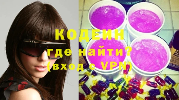 индика Надым