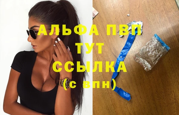 индика Надым