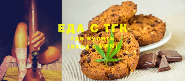 индика Надым