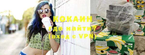 индика Надым