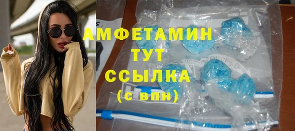 индика Надым