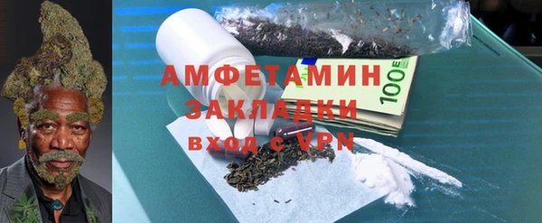 индика Надым